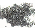  ( - DLH-2015-199)  @11 [ ] CreativeCommons  Attribution Non-Commercial Share-Alike (2020) Diane L. Haughland Unspecified