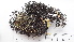 ( - DLH-2015-251)  @11 [ ] CreativeCommons  Attribution Non-Commercial Share-Alike (2020) Diane L. Haughland Unspecified