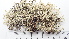  ( - DLH-2015-258)  @11 [ ] CreativeCommons  Attribution Non-Commercial Share-Alike (2020) Diane L. Haughland Unspecified