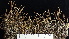  ( - DLH-2015-261)  @11 [ ] CreativeCommons  Attribution Non-Commercial Share-Alike (2022) Diane L. Haughland Alberta Biodiversity Monitoring Institute