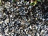  ( - DLH-2015-77)  @11 [ ] CreativeCommons  Attribution Non-Commercial Share-Alike (2020) Diane L. Haughland Unspecified
