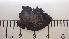  ( - DLH-2015-82)  @11 [ ] CreativeCommons  Attribution Non-Commercial Share-Alike (2020) Diane L. Haughland Unspecified