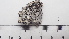  ( - DLH-2015-85)  @11 [ ] CreativeCommons  Attribution Non-Commercial Share-Alike (2020) Diane L. Haughland Unspecified