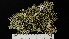  ( - DLH-2016-494)  @11 [ ] CreativeCommons  Attribution Non-Commercial Share-Alike (2022) Diane L. Haughland Unspecified
