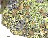  ( - DLH-2017-395)  @11 [ ] CreativeCommons  Attribution Non-Commercial Share-Alike (2020) Diane L. Haughland Unspecified