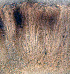  ( - DLH-2017-395)  @11 [ ] CreativeCommons  Attribution Non-Commercial Share-Alike (2020) Diane L. Haughland Unspecified