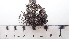  ( - DLH-2017-417)  @11 [ ] CreativeCommons  Attribution Non-Commercial Share-Alike (2020) Diane L. Haughland Unspecified