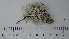  ( - DLH-2017-434)  @11 [ ] CreativeCommons  Attribution Non-Commercial Share-Alike (2020) Diane L. Haughland Unspecified