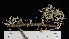  ( - DLH-2017-441A)  @11 [ ] CreativeCommons  Attribution Non-Commercial Share-Alike (2022) Diane L. Haughland Unspecified
