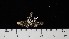  ( - DLH-2017-441E)  @11 [ ] CreativeCommons  Attribution Non-Commercial Share-Alike (2022) Diane L. Haughland Unspecified