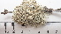  ( - DLH-2017-498)  @11 [ ] CreativeCommons  Attribution Non-Commercial Share-Alike (2020) Diane L. Haughland Unspecified