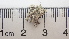  ( - DLH-2017-498A)  @11 [ ] CreativeCommons  Attribution Non-Commercial Share-Alike (2020) Diane L. Haughland Unspecified