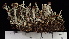  ( - DLH-2017-505)  @11 [ ] CreativeCommons  Attribution Non-Commercial Share-Alike (2022) Diane L. Haughland Unspecified