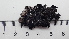  ( - DLH-2017-506)  @11 [ ] CreativeCommons  Attribution Non-Commercial Share-Alike (2020) Diane L. Haughland Unspecified
