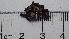  ( - DLH-2017-507)  @11 [ ] CreativeCommons  Attribution Non-Commercial Share-Alike (2020) Diane L. Haughland Unspecified