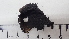  ( - DLH-2017-508)  @11 [ ] CreativeCommons  Attribution Non-Commercial Share-Alike (2020) Diane L. Haughland Unspecified