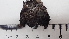  ( - DLH-2017-508)  @11 [ ] CreativeCommons  Attribution Non-Commercial Share-Alike (2020) Diane L. Haughland Unspecified