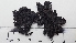  ( - DLH-2017-510)  @11 [ ] CreativeCommons  Attribution Non-Commercial Share-Alike (2020) Diane L. Haughland Unspecified