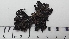  ( - DLH-2017-510)  @11 [ ] CreativeCommons  Attribution Non-Commercial Share-Alike (2020) Diane L. Haughland Unspecified