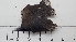  ( - DLH-2017-511)  @11 [ ] CreativeCommons  Attribution Non-Commercial Share-Alike (2020) Diane L. Haughland Unspecified
