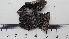  ( - DLH-2017-511)  @11 [ ] CreativeCommons  Attribution Non-Commercial Share-Alike (2020) Diane L. Haughland Unspecified