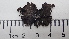  ( - DLH-2017-512)  @11 [ ] CreativeCommons  Attribution Non-Commercial Share-Alike (2020) Diane L. Haughland Unspecified