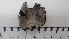  ( - DLH-2017-514)  @11 [ ] CreativeCommons  Attribution Non-Commercial Share-Alike (2020) Diane L. Haughland Unspecified