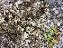  ( - DLH-2017-514)  @11 [ ] CreativeCommons  Attribution Non-Commercial Share-Alike (2020) Diane L. Haughland Unspecified