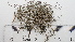  ( - DLH-2017-585)  @11 [ ] CreativeCommons  Attribution Non-Commercial Share-Alike (2020) Diane L. Haughland Unspecified