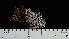  ( - DLH-2017-608)  @11 [ ] CreativeCommons  Attribution Non-Commercial Share-Alike (2022) Diane L. Haughland Unspecified