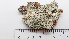  ( - DLH-2017-617)  @11 [ ] CreativeCommons  Attribution Non-Commercial Share-Alike (2020) Diane L. Haughland Unspecified