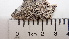  ( - DLH-2017-668)  @11 [ ] CreativeCommons  Attribution Non-Commercial Share-Alike (2020) Diane L. Haughland Unspecified