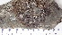  ( - DLH-2017-687B)  @11 [ ] CreativeCommons  Attribution Non-Commercial Share-Alike (2020) Diane L. Haughland Unspecified
