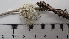  ( - DLH-2017-702)  @11 [ ] CreativeCommons  Attribution Non-Commercial Share-Alike (2020) Diane L. Haughland Unspecified