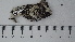  ( - DLH-2017-709)  @11 [ ] CreativeCommons  Attribution Non-Commercial Share-Alike (2020) Diane L. Haughland Unspecified