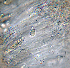  ( - DLH-2017-725)  @11 [ ] CreativeCommons  Attribution Non-Commercial Share-Alike (2020) Diane L. Haughland Unspecified