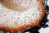  ( - DLH-2017-725)  @11 [ ] CreativeCommons  Attribution Non-Commercial Share-Alike (2020) Diane L. Haughland Unspecified