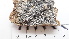  ( - DLH-2017-735)  @11 [ ] CreativeCommons  Attribution Non-Commercial Share-Alike (2020) Diane L. Haughland Unspecified