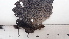 ( - DLH-2017-766)  @11 [ ] CreativeCommons  Attribution Non-Commercial Share-Alike (2020) Diane L. Haughland Unspecified