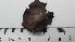  ( - DLH-2017-767)  @11 [ ] CreativeCommons  Attribution Non-Commercial Share-Alike (2020) Diane L. Haughland Unspecified