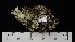  ( - DLH-2017-771)  @11 [ ] CreativeCommons  Attribution Non-Commercial Share-Alike (2022) Diane L. Haughland Unspecified