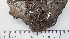 ( - DLH-2017-802)  @11 [ ] CreativeCommons  Attribution Non-Commercial Share-Alike (2020) Diane L. Haughland Unspecified