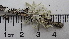  ( - DLH-2017-837)  @11 [ ] CreativeCommons  Attribution Non-Commercial Share-Alike (2020) Diane L. Haughland Unspecified