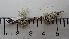  ( - DLH-2017-838)  @11 [ ] CreativeCommons  Attribution Non-Commercial Share-Alike (2020) Diane L. Haughland Unspecified