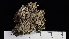  ( - DLH-2017-858)  @11 [ ] CreativeCommons  Attribution Non-Commercial Share-Alike (2022) Diane L. Haughland Unspecified