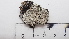  ( - DLH-2017-860)  @11 [ ] CreativeCommons  Attribution Non-Commercial Share-Alike (2020) Diane L. Haughland Unspecified
