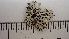  ( - DLH-2017-866)  @11 [ ] CreativeCommons  Attribution Non-Commercial Share-Alike (2020) Diane L. Haughland Unspecified