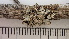  ( - DLH-2017-867)  @11 [ ] CreativeCommons  Attribution Non-Commercial Share-Alike (2020) Diane L. Haughland Unspecified