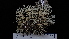  ( - DLH-2018-58)  @11 [ ] CreativeCommons  Attribution Non-Commercial Share-Alike (2022) Diane L. Haughland Unspecified