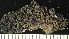  ( - RM19-08B)  @11 [ ] CreativeCommons  Attribution Non-Commercial Share-Alike (2022) Diane L. Haughland Unspecified